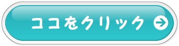 キャリア診断説明